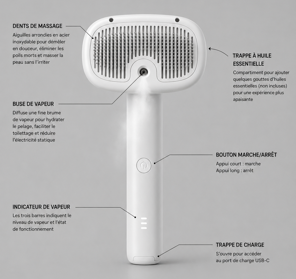 Brosse électrique