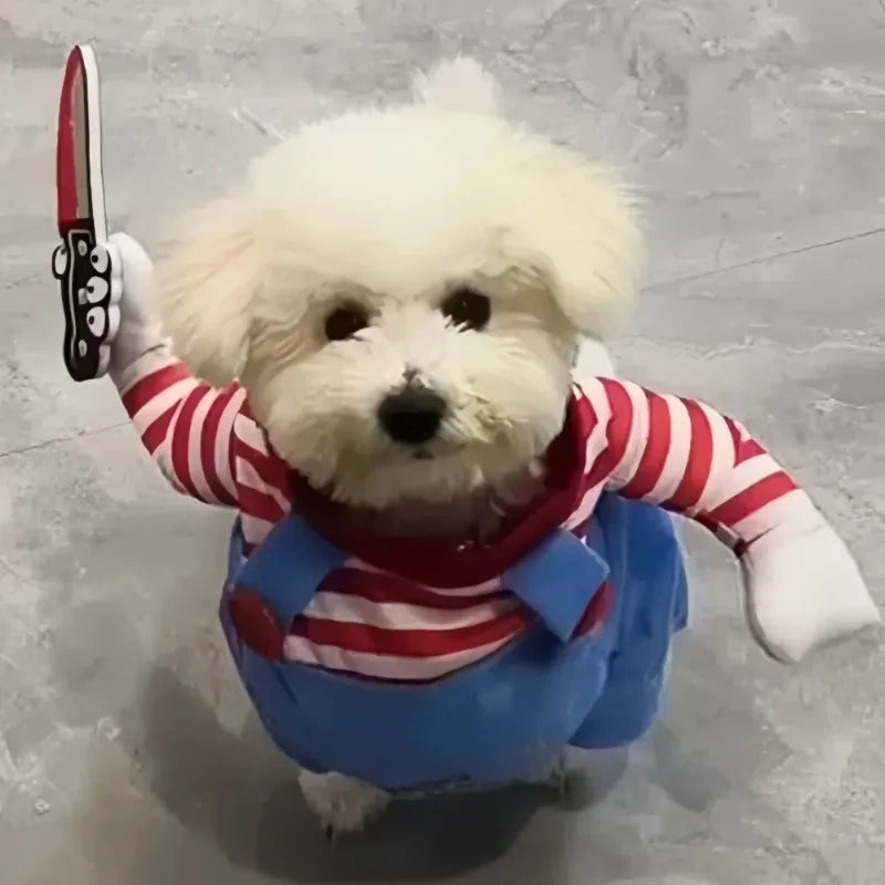 Costume Chucky