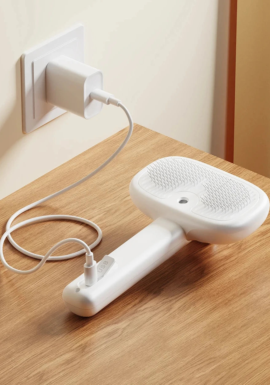 Brosse électrique