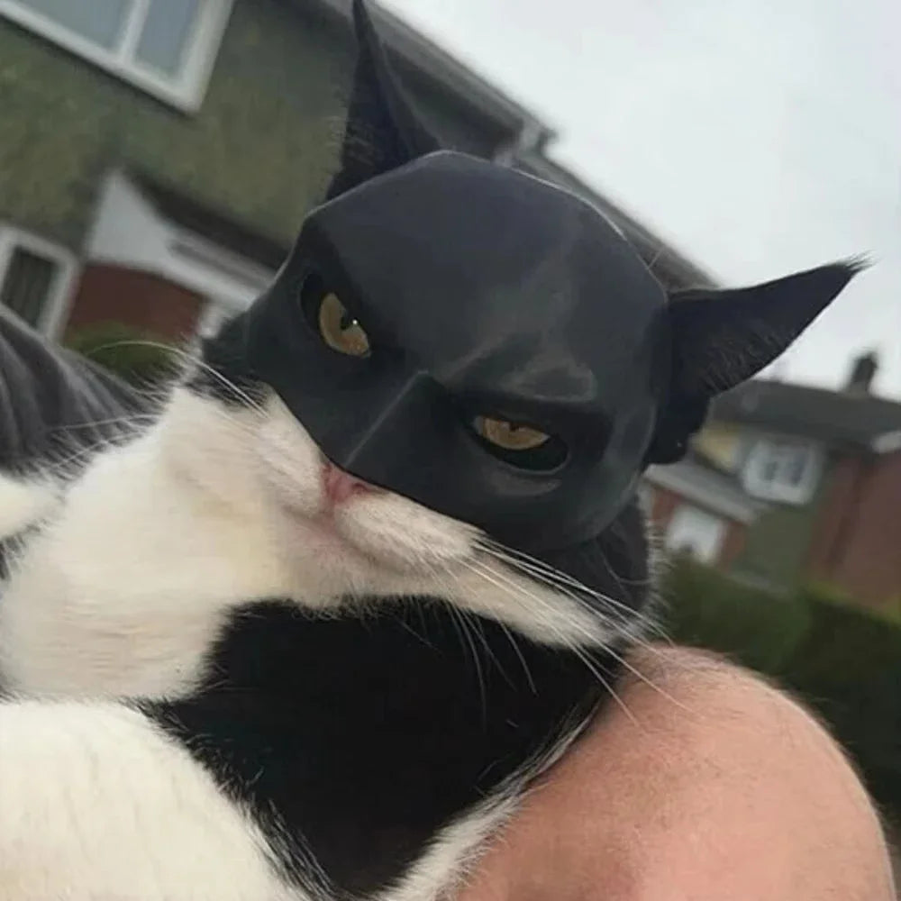 Masque BatCat