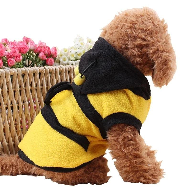 Costume Abeille