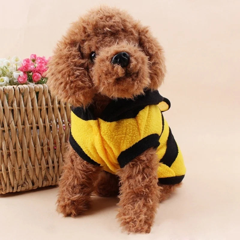 Costume Abeille