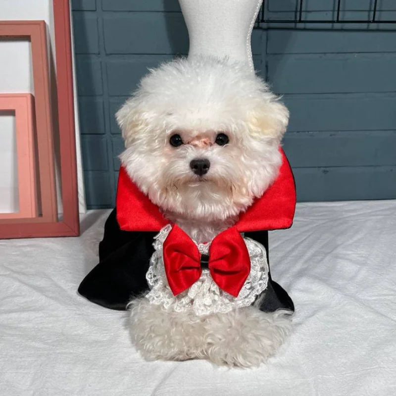 Costume Dracula
