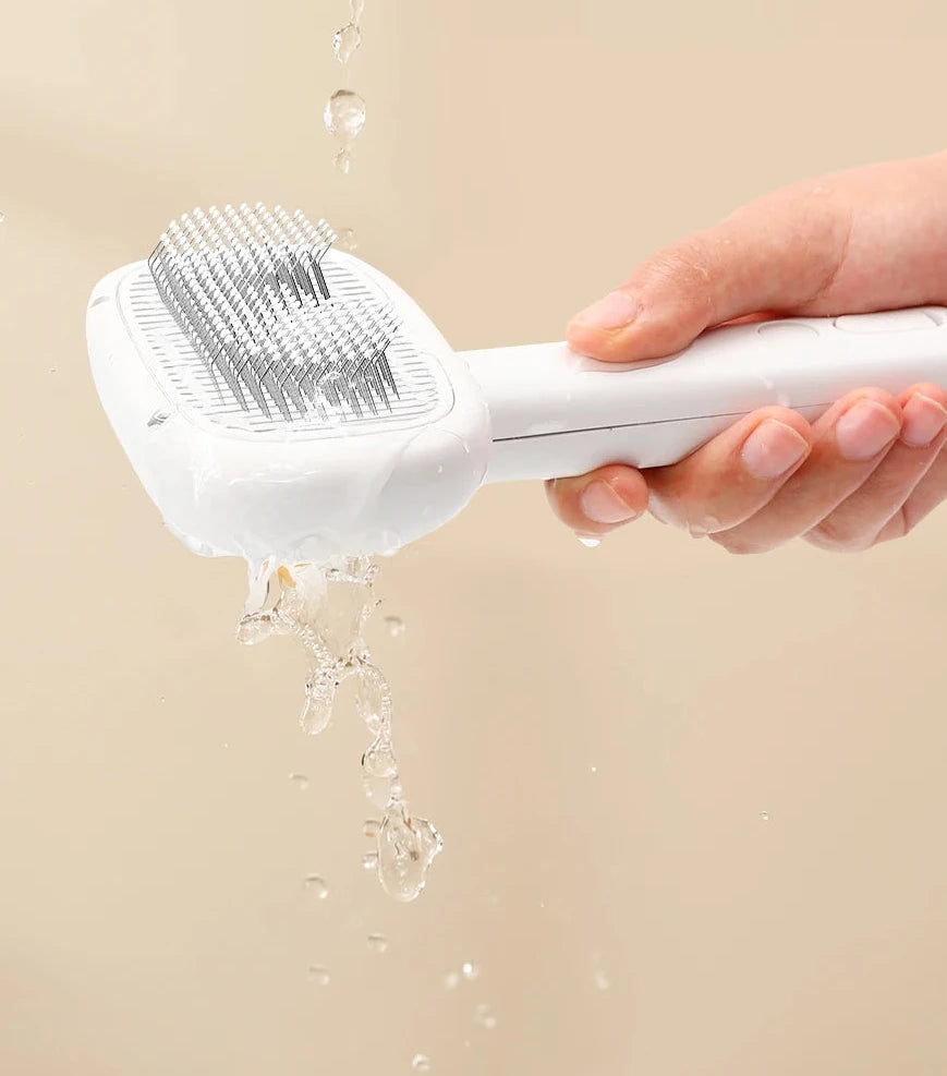 Brosse électrique