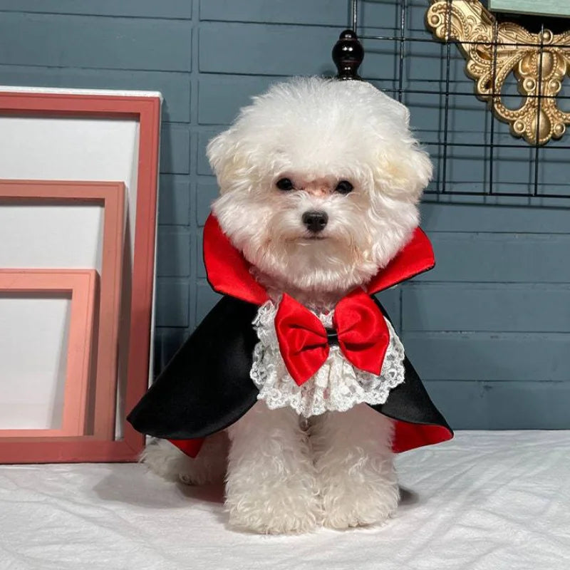 Costume Dracula
