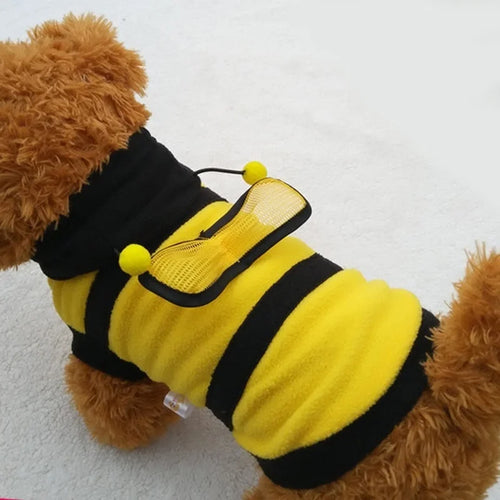 Costume Abeille