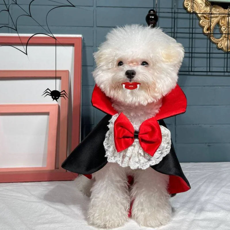 Costume Dracula